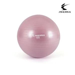 고품질 안티버스트 짐볼 55cm 와일드 핑크 (WFFWFII)