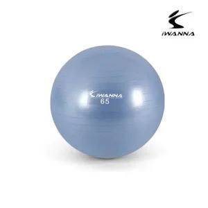 고품질 안티버스트 짐볼 65cm 라벤더 (WFFWFIJ)