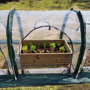 카멜 원터치 비닐하우스 고추건조 텃밭 옥상 조립식 베란다 옥상 소형 미니