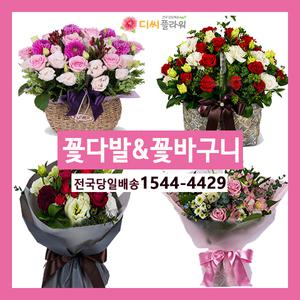 꽃바구니/꽃다발//생일/기념일/축하 꽃배달/꽃집/화원