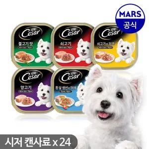 [시저]시저 캔사료 100g 24개 묶음