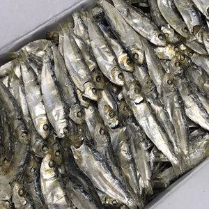 [유쾌상회] 육수용 디포리 1.5kg