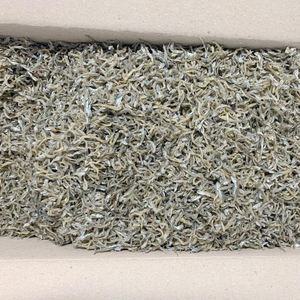 울돌목 남해안 볶음용 지가이리 멸치 1.5kg 한상자 가이리 지리