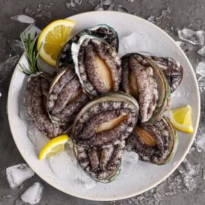 산지 직송 활전복 6-7미 1kg+솔