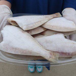 [st푸른농원]국내산 손질세척한 반건조 두절 참가자미  중 9~11미(1000g내외_마리당 15~16cm)