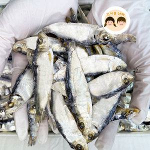 최상급 AAA급 디포리 밴댕이 1.5kg 대용량