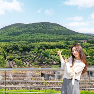 [제주] 메이즈랜드 입장권/미로공원/공원/미로체험