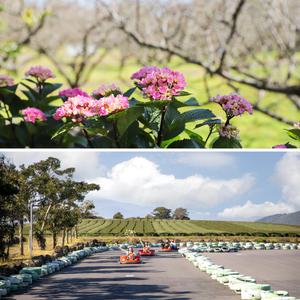 제주 휴애리+오늘은카트레이싱 카트체험 / 제주 관광지 이색체험