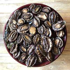 완도 꼬마 전복 미니 라면 작은 애기 전복 1kg (40-50미 내외)