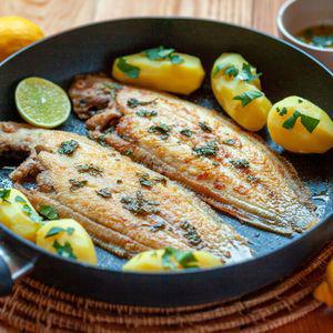 해풍 반건조 박대 실속형 5미 26-29cm 내외