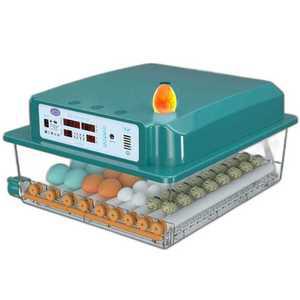 도마뱀 인큐베이터 자동 부화 알 애완 메추리 거위