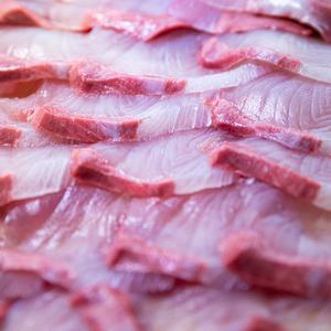 제주도 남해안 대방어 회 필렛 500g