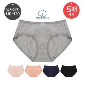 (30%즉시할인) 순면 미디 세트 1601 (5매세트) 여성팬티 면팬티
