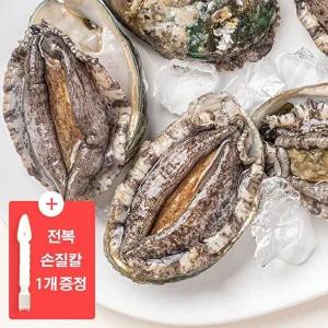 [바다마을][바다마을]완도 활전복 특대 20미 1.6kg + 전복 손질 도구