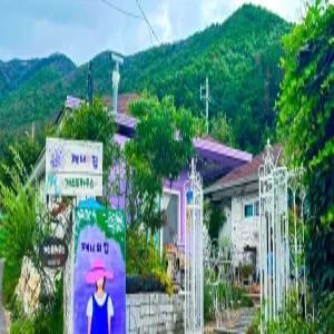 [경상] 밀양 제니의집(경상숙소/밀양숙소)