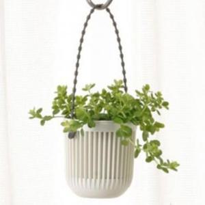 [JHP1RR11_51C2]행잉 공중식물 인테리어 일제 화분 벽걸이