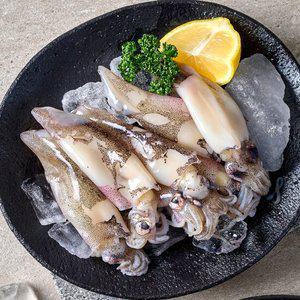 통찜용 총알 한치 500g(15~25미) x 5팩