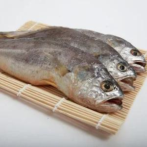 영광 법성포 굴비 왕특장대/20미(20-21cm내외)