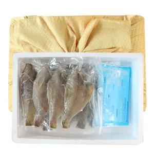 동해 반건조 참가자미 선물세트 1kg