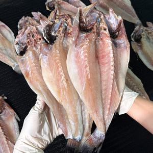 농가살리기 여수산 반건조 자연산 민어 (손질) 240g*2마리