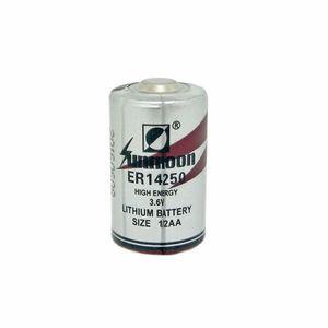산업용 제어 리튬 배터리 액세서리 부품 ER14250 3.6V 2 개