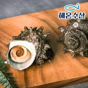 [해온수산] 자연산 뿔소라 8미내외 1kg