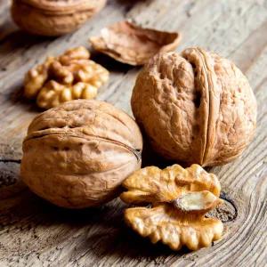 [충북농원] 신령 호두나무 묘목 - H0.6~H1.5 / 실생묘