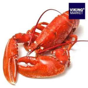 L)바이킹마켓 점보랍스터 3마리 (총 3~3.3kg)