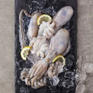 [냉동][중국] 살아있을 때 급냉한 낙지 (3~4미 내외, 500g)