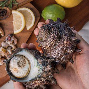 갤러리아 [오늘의바다] 뿔소라 1kg