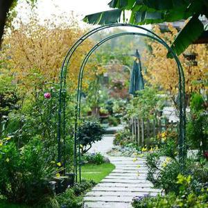 포도나무 식물 지지대 넝쿨 장미 가든 클레마티스 아치 덩굴