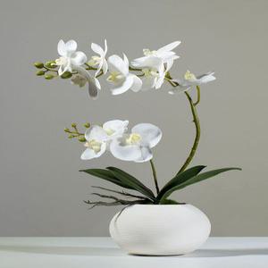 난 조화 난꽃 화분 대형 인테리어 장식용 화이트노란색