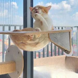 창문 캣타워 부착형 베란다 반려묘 캣워크 선반