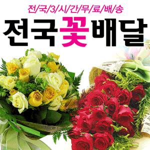 최고의 선택 ★놀라운가격★ 꽃다발/장미/안개꽃/전국 당일2시간 무료배송/꽃배달