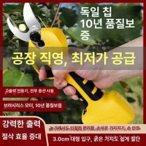 충전식 전지가위 전동 자동 휴대용 전정가위 2개