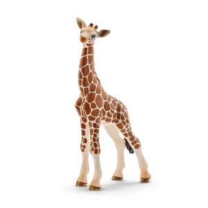 (선물완구) 슐라이히 새끼 기린 SL14751 Giraffe calf 피규어