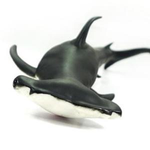 실감나는 유아교구 귀상어 해양 인형 전시용 유아 분위기 귀여운 바다동물 모형 장식품 물고기 야생 장식