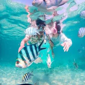 [출발확정][홈쇼핑 HIT상품][30만원상당특전/노옵션/니모섬] 방콕파타야 3박5일 [4성/아시아티크]