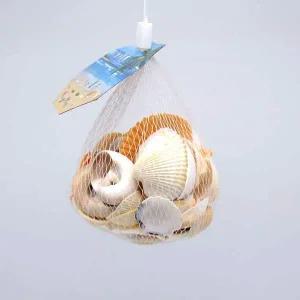 [골드스마일]조개껍데기 140g 160g