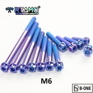 RTAMO 오토바이 크랭크 케이스용 티타늄 볼트 M6X10-90mm Torx 헤드 플랜지 나사, 엔진 클러치 (1 개)