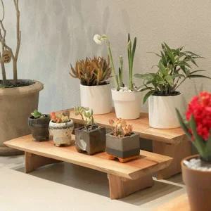 원목 진열대 2단 스탠드 60cm 원목 화분대 우드 정리대 마호가니 인테리어 받침대 협탁 스툴 소품 가구