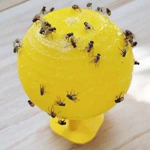 날파리 끈끈이 걸이형 파리 해충 초파리 끈끈이 벌레 트랩 쓰레기 사무실 화장실 음식물 퇴치기 주방 리빙