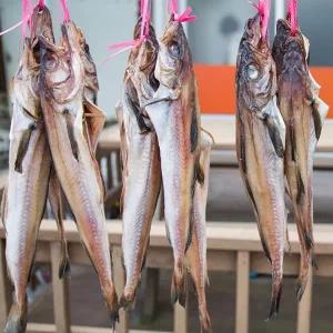 명태 반건조 코다리 3미 1.4kg