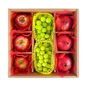 도담 프리미엄 3종 과일선물세트 5호(석류+샤인머스켓+사과)