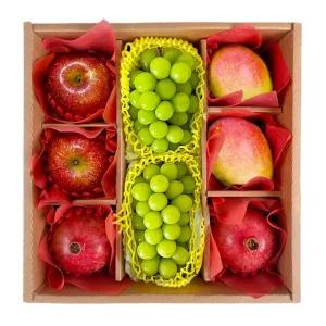 도담 프리미엄 4종 과일선물세트 3호(사과+샤인머스켓+애플망고+석류)