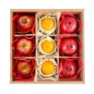 도담 프리미엄 3종 과일선물세트 6호(석류+자몽+사과)