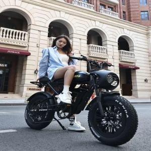 전기 자전거 배달용 엑스트론 팻바이크 알톤