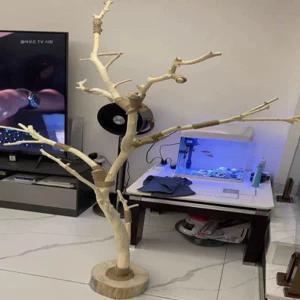 새 놀이터 나뭇가지 잉꼬 잉꼬 앵무새 둥지 애완조