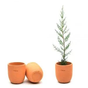 [셀러에이드]테라원 국산 팽이형 14x15cm 황토 토분 물구멍x