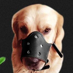 입마개 XS 사이즈 훈련 강아지 짖음방지 입질방지 산